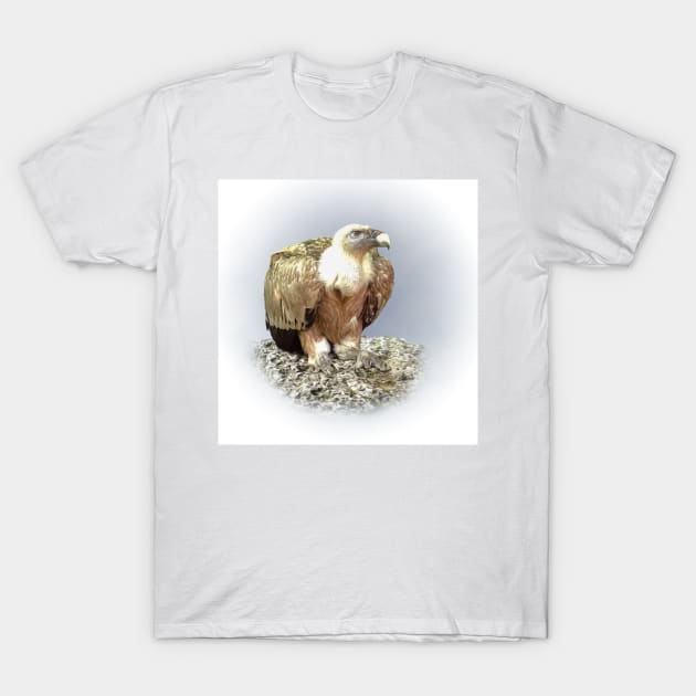 Vulture T-Shirt by Guardi